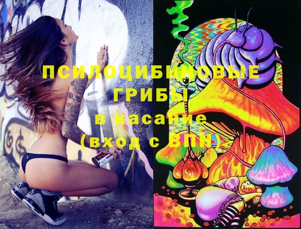 спайс Баксан