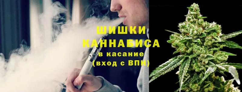 Конопля SATIVA & INDICA  Горняк 